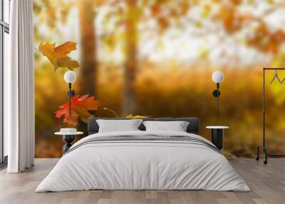 Beautiful autumn landscape with yellow trees and sun.  Wall mural