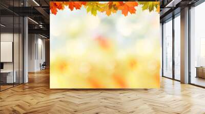 Falling autumn maple leaves natural background .Colorful foliage Wall mural