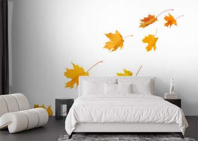 Falling autumn  maple yellow leaves cut out Wall mural