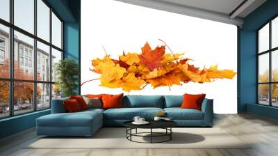 Pile of autumn maple colored leaves isolated
 Wall mural