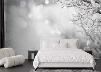 winter background Wall mural