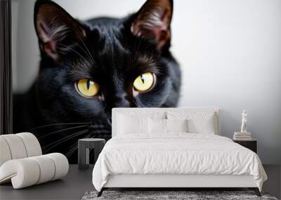 A focused black cat with bright yellow eyes and white whiskers on a simple background Wall mural