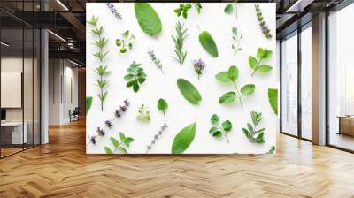 Assorted fresh herbs arranged in a creative pattern on a white background Top view flat lay Representing healthy eating and alternative medicine Wall mural