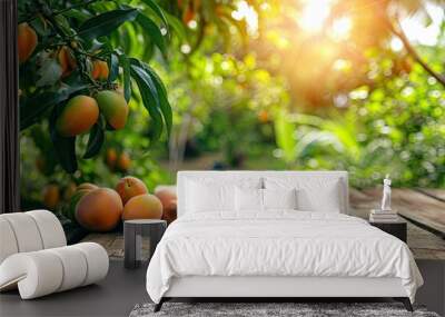 Background with wooden table and mango garden fruits Wall mural