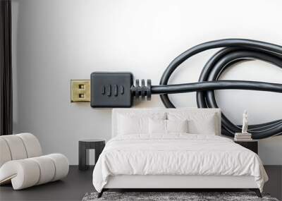 Black power cable with 250 volt plug on white background Wall mural