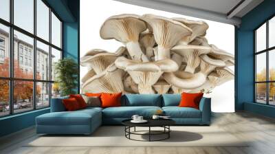 Closeup of isolated oyster mushroom on white background Wall mural