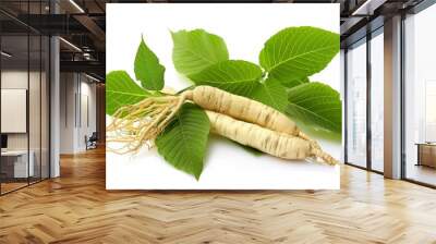 Fresh Ginseng Root and female ginseng dong quai leaves isolated on white Wall mural