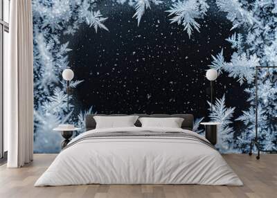 Frost pattern on black background frame with ice structure for adding frost effect to glass Wall mural