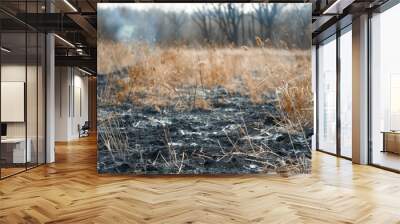 Grassy meadow after a wildfire causing environmental damage and loss of wildlife Wall mural