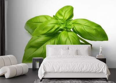 Green basil leaves on white background. Wall mural