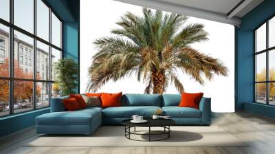 Isolated Indian palm tree with white background Wall mural