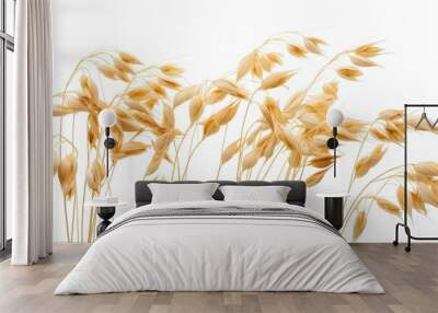 isolated oat plant Wall mural