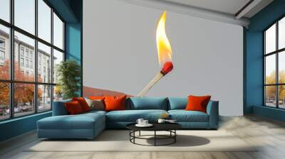 Match burning in male hand on white background Wall mural