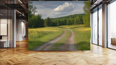 Meadow view from the dirt road Wall mural