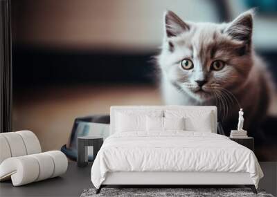 Selective focus on a beautiful gray munchkin cat eating from a metal bowl Caring for pets Cute domestic creature Wall mural