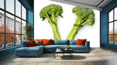 Short-cut broccoli stalks isolated on white background. Wall mural