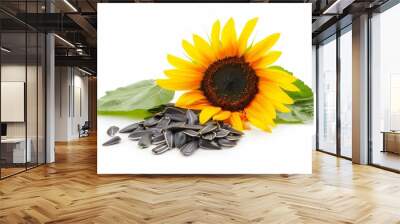 Sunflower seed oil seeds and flower on white background Wall mural