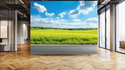 Sunny summer day landscape with green meadow blue sky and road Wall mural