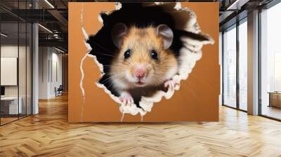 Tiny rodent peering through hole in cardboard. Wall mural