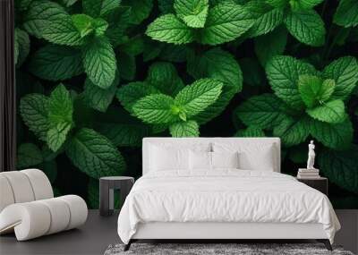 Top view of fresh mint lemon balm and peppermint leaves Natural layout with mint leaf texture spearmint herbs and a nature background Wall mural