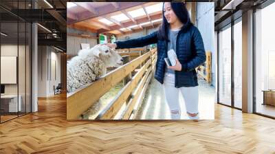 Girls feeding farm animals out of hand through fence on a farm. Wall mural