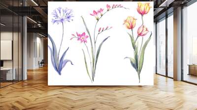 Flowers watercolor illustration.Manual composition.Big Set watercolor elements. Wall mural