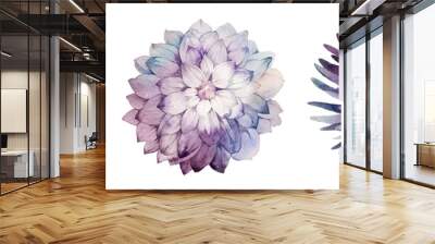 Flowers watercolor illustration.Manual composition.Big Set watercolor elements. Wall mural