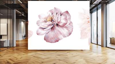 Flowers watercolor illustration.Manual composition.Big Set watercolor elements. Wall mural