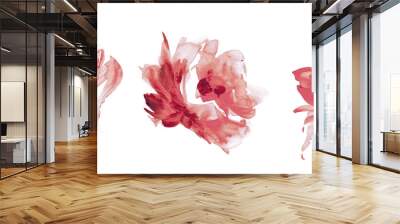 Flowers watercolor illustration.Manual composition.Big Set watercolor elements. Wall mural