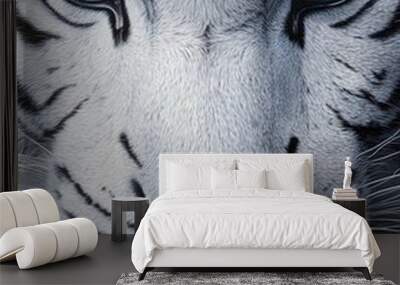 Close-up of a beautiful white tiger with blue eyes Wall mural