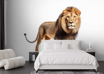 A lion on the right hand isolated on white background Wall mural