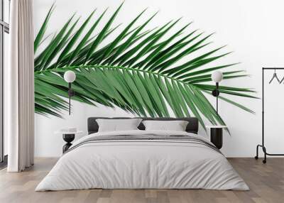 Green leaf of a palm tree. Isolate on white background. Wall mural