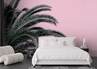 Part of a palm tree on a pink background. Copy space. Wall mural