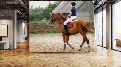 A young woman in a blue shirt and white pants with a black helmet rides a cherry horse in a village stud Wall mural