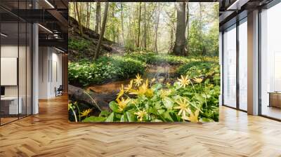 Lesser celandine or pilewort flower blooming in a sunny spring forest by a stream Wall mural