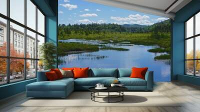 Adirondack Park, New York, USA: View of mountains in the distance from the shore of Raquette Lake, with dramatic clouds overhead on a bright summer day. Wall mural