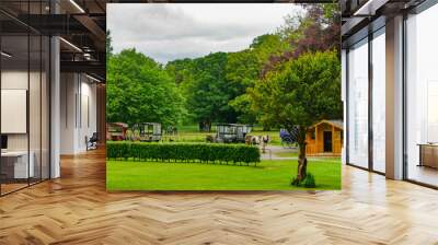 Killarney National Park, Co. Kerry, Ireland: Horses and carts -- jaunting cars -- waiting for passengers at Muckross House, a 65-room Victorian mansion built in 1843. Wall mural