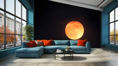 moon in the night Wall mural