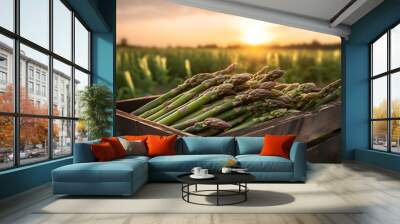 Asparagus harvested in a wooden box in a field with sunset. Natural organic vegetable abundance. Agriculture, healthy and natural food concept. Wall mural