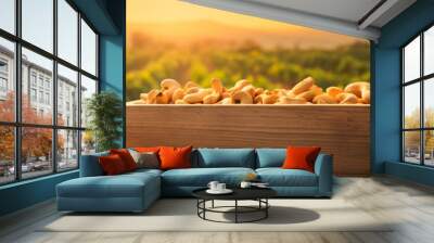 Cashew nuts harvested in a wooden box in a plantation with sunset. Natural organic fruit abundance. Agriculture, healthy and natural food concept. Wall mural