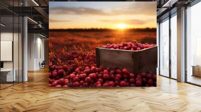 Cranberries harvested in a wooden box in a farm with sunset. Natural organic fruit abundance. Agriculture, healthy and natural food concept. Horizontal composition. Wall mural