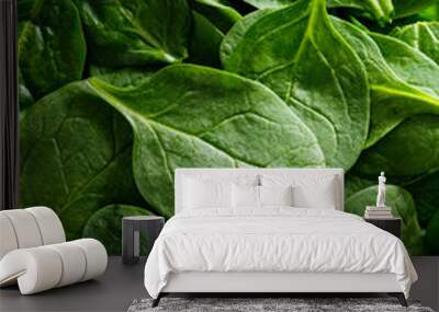 Close-up of fresh organic spinach Wall mural