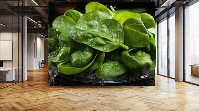 Baby fresh spinach leaves in water drops on a plate on a black background. Veget, generative IA Wall mural