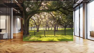 Large oak tree branch with farm fence in the rural countryside looking serene peaceful calm relaxing beautiful southern tranquil magical Wall mural