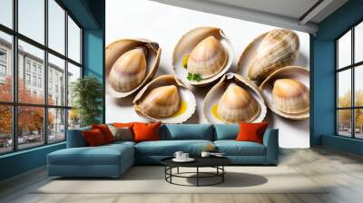 seashells isolated on white Wall mural