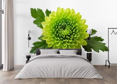 Single green chrysanthemums leaf isolated transparent
 Wall mural