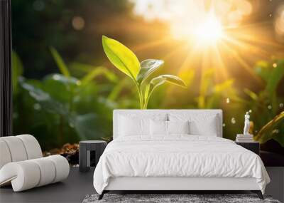 Young plant growing in the morning light and green nature Wall mural