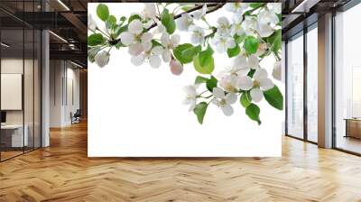 Apple blossom branch in a corner border, spring flowers on a transparent backdrop Wall mural