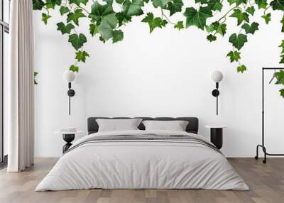 English Ivy Background, gree wall on tranparent background Wall mural