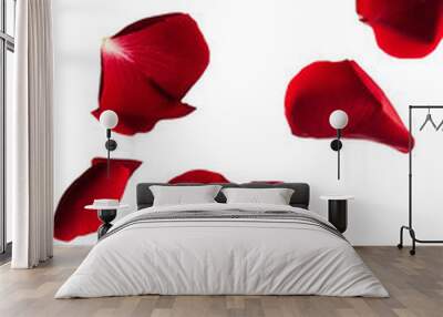 Floating red rose petals isolated on transparent background Wall mural